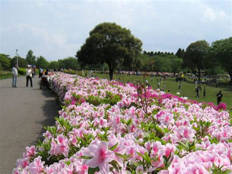 The Top 10 Things to Do in Chiba - TripAdvisor - Chiba, Japan ...