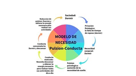 Modelo De Necesidad Pulsion Conducta