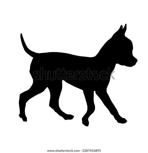 Chihuahua Puppy Dog Silhouette Vector Dog Stock Vector (Royalty Free) 2287456895 | Shutterstock