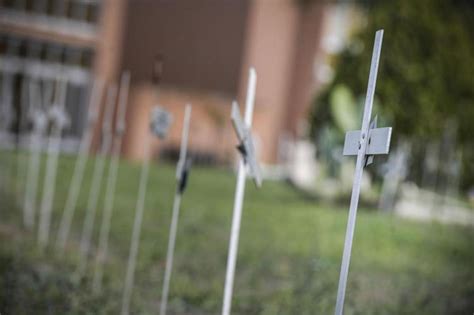 Cimitero Dei Feti Garante Privacy Multa Comune Roma E Ama Mantovauno It