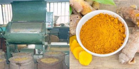 One Machine Performs Multiple Tasks In Turmeric Processing