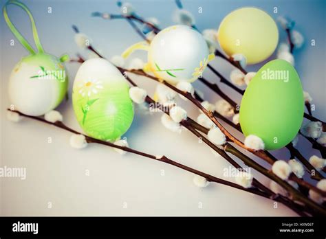 Pussy Willow And Easter Eggs Stock Photo Alamy