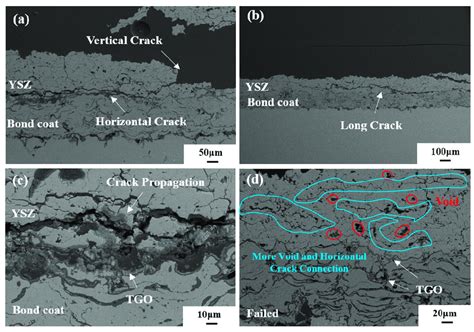 Microscopic Cross Sectional Morphologies Of Failed Ysz Coating At A