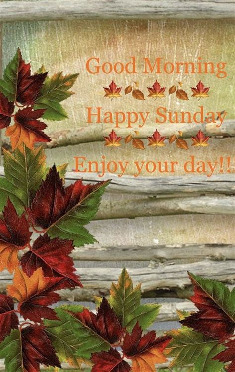 Pin By Chris On Sunday In 2022 Good Morning Greeting Cards Good