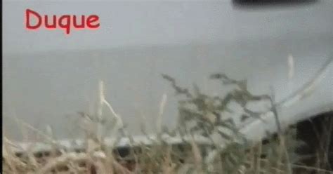 FU Voyeur The Galician Car Clips Voyeurismo Public Sex