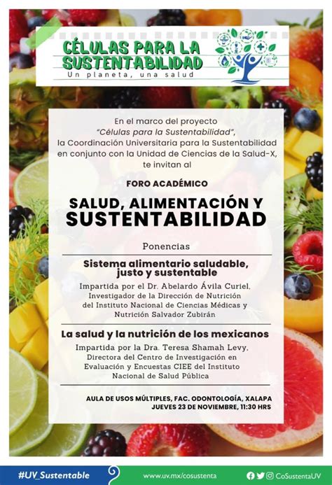 Sustentabilidad Facultad De Medicina Xalapa