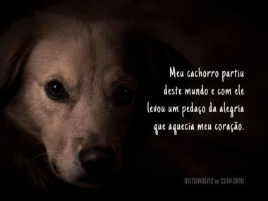 Top 6 Frases Para Cachorro Que Morreu 2022