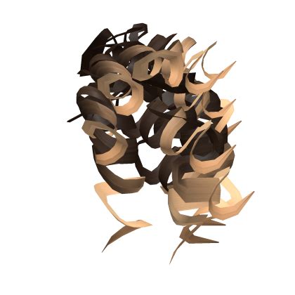 EXT For Blonde Highlights Brown Curly Bun Roblox