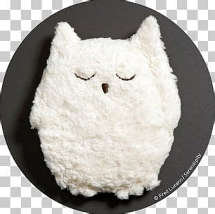 Bear Stuffed Toy Hot Water Bottle Cartoon Plush Png Clipart Bear Bottle Cartoon Electric