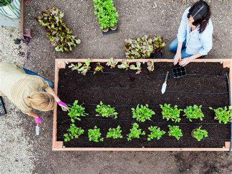 Raised Garden Bed Designs