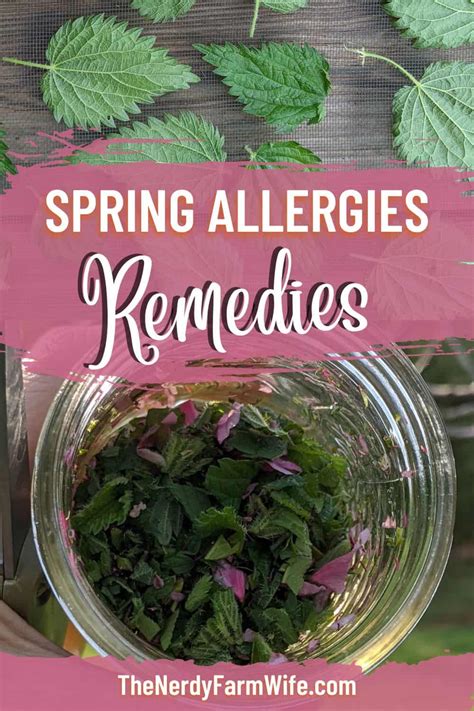 Spring Allergy Tips & Remedies