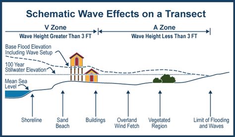 Coastal Flooding Diagram