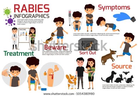 Rabies Infographics Illustration Rabies Describing Symptoms Stock