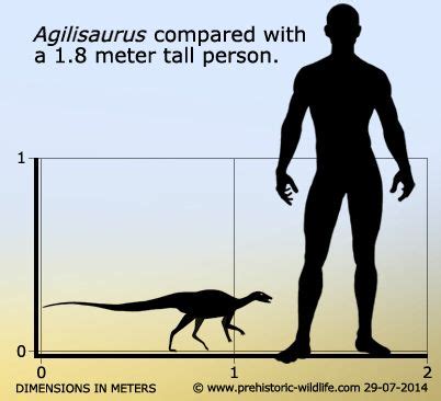 Agilisaurus Prehistoric Wildlife, Prehistoric Creatures, Dinosaur Silhouette, Tall Person, Thing ...