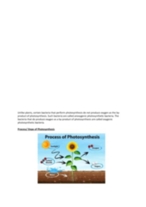 Solution Photosynthesis Definition Equation And Process Steps Involved