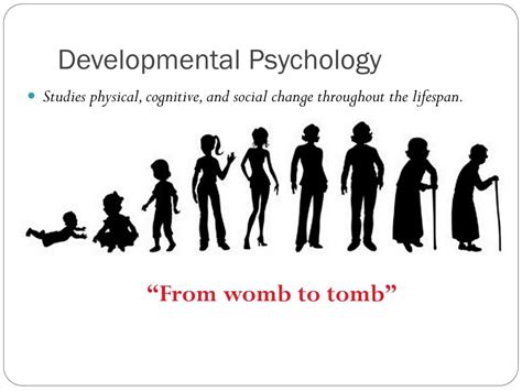 Ppt Developmental Psychology Powerpoint Presentation Free Download