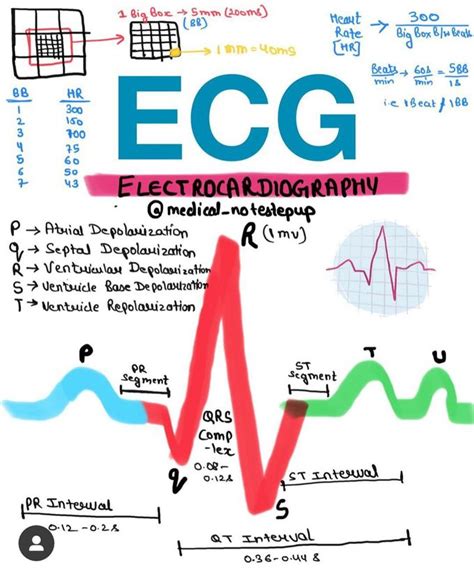 Ecg Basics Medizzy