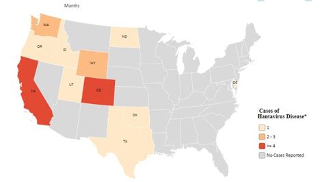 Hantavirus Human Case Of Deadly Rat Virus Found The Advertiser