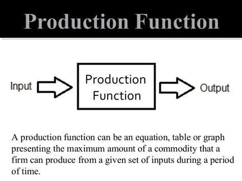 Production Function