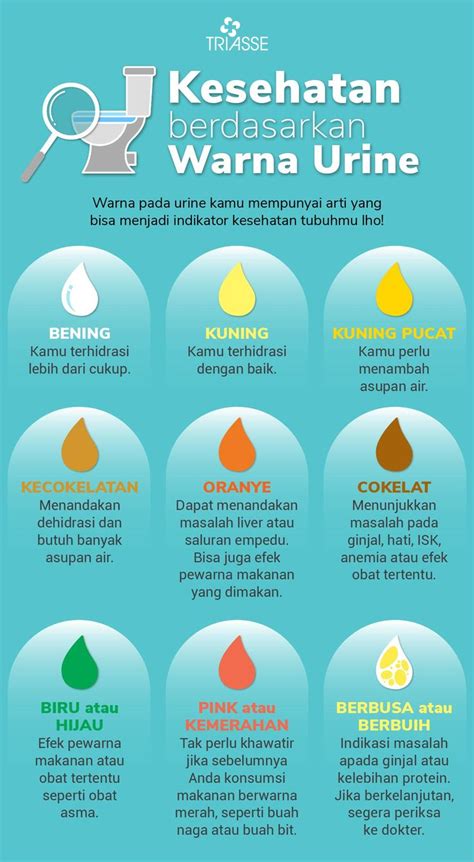 Kesehatan Berdasarkan Warna Urine Kesehatan Tubuh Kehidupan Sehat