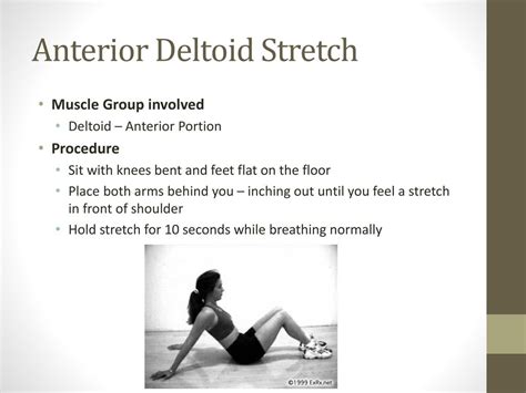 Anterior Deltoid Stretches