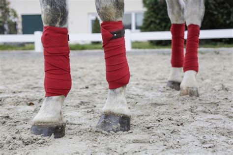 Improving Your Bandaging Technique Everything Horse