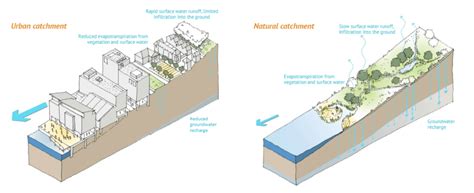 Sustainable Urban Drainage Systems SuDS Versus Conventional Drainage