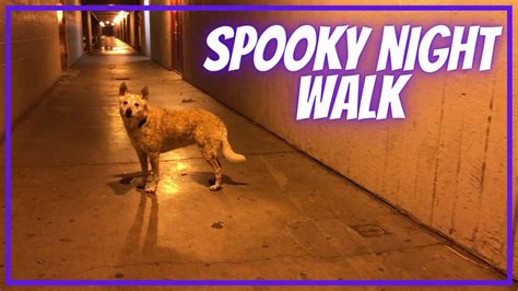 SPOOKY! Exploring Kilo Middle School at Night! - YouTube