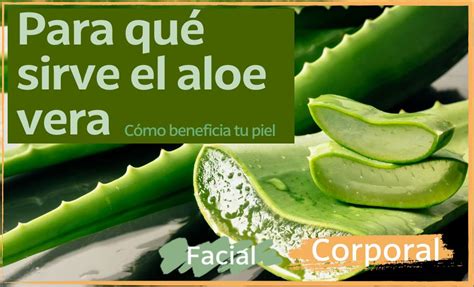 Para Qué Sirve El Aloe Vera Y Cómo Beneficia Tu Piel