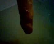 Beim Baden Gay Man Man Porn XHamster