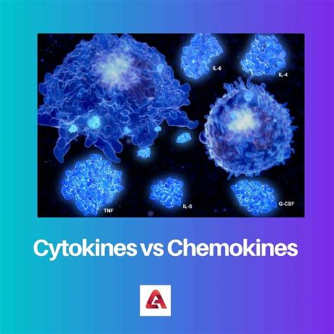 Cytokines Vs Chemokines Difference And Comparison