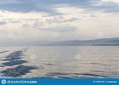 Whale Watching in Tadoussac Stock Image - Image of monument, tadoussac ...