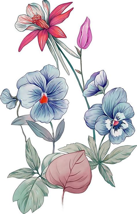 Pin By Mian Mudassar On Bunch Of Flowers Botanical Flower Art Flower