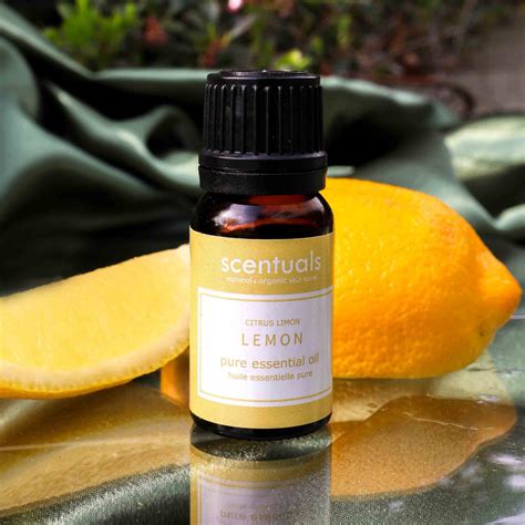 Lemon Essential Oil Scentuals Natural And Organic Skin Care