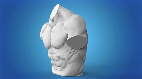 Muscle Man Torso 3D Model 3D Printable CGTrader