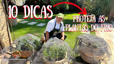 Dicas Para Proteger Suas Plantas Do Frio Youtube