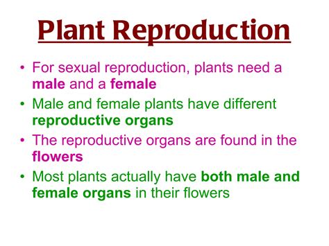 Sexual Reproduction Inplants Powerpoint Ppt