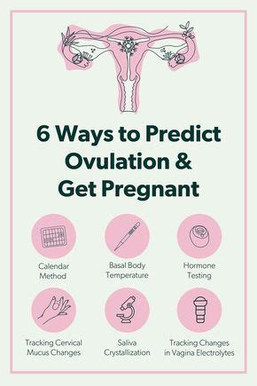 What Is Ovulation When Do I Ovulate Ovulation Symptoms More Artofit