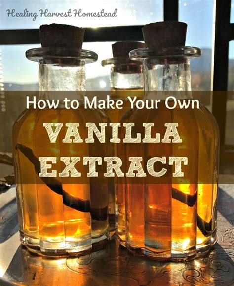 How To Make Your Own Vanilla Extract And A Creepy Story About Vanilla — All Posts Healing