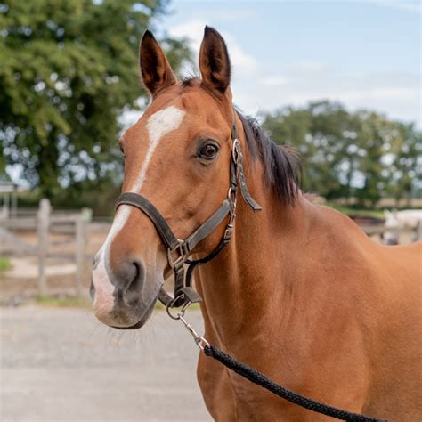 Onze Boerderij Erve Zoklein