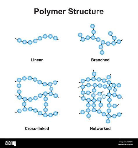 Diseño Científico De La Clasificación De La Estructura Del Polímero