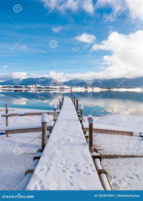 Forggensee in winter stock image. Image of scenery, excursion - 205997809