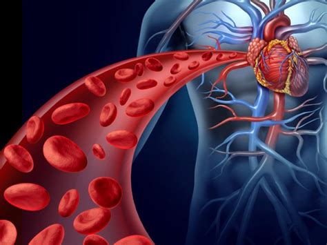 Cirurgia De Revascularização Do Miocárdio Ponte De Safena Mamária