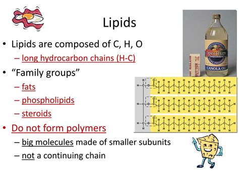 Ppt Chapter Macromolecules Lipids Powerpoint Presentation Free