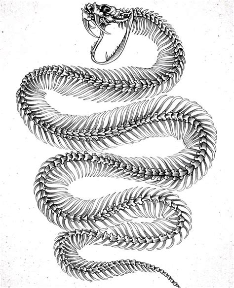 Pin on Schlangen | Snake tattoo design, Skeleton tattoos, Creepy tattoos