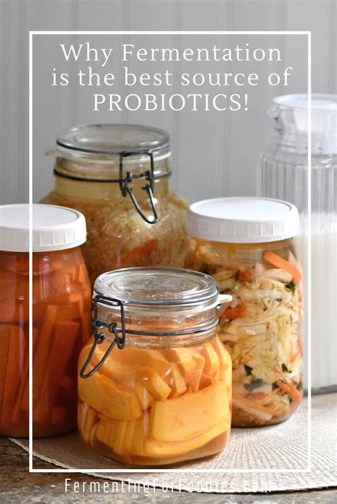 5 Reasons Why Fermented Foods Are The BEST Probiotics - Fermenting for ...