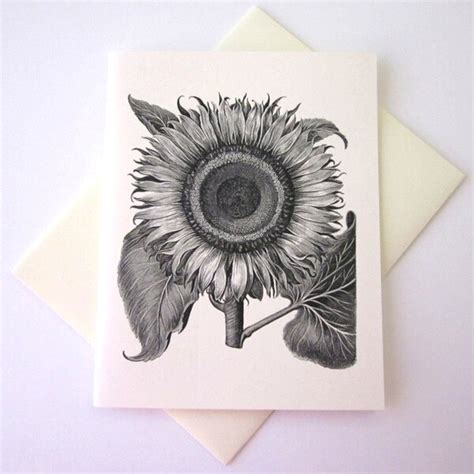 Sunflower Note Cards Etsy