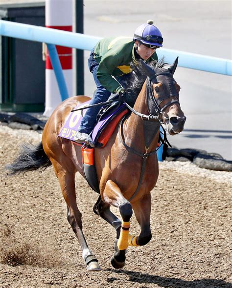 【nhkマイルc】ニュージーランドt4着から巻き返しを狙うモリアーナは1枠2番 武藤調教師「位置を取りにいってもいい」 Umatoku 馬トク