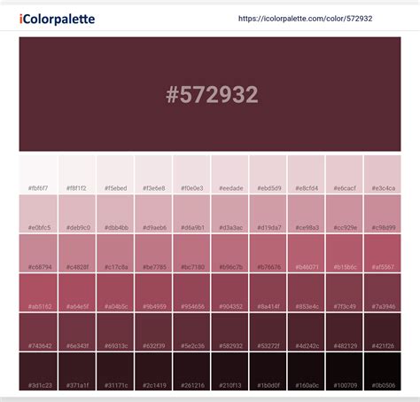 Pantone 504 C Color Hex Color Code 572932 Information Hsl Rgb