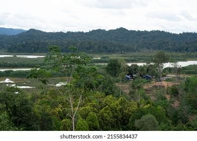 206 Pahang Indigenous Pahang Images, Stock Photos & Vectors | Shutterstock